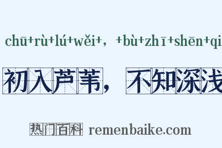 初入芦苇，不知深浅是什么意思的图片